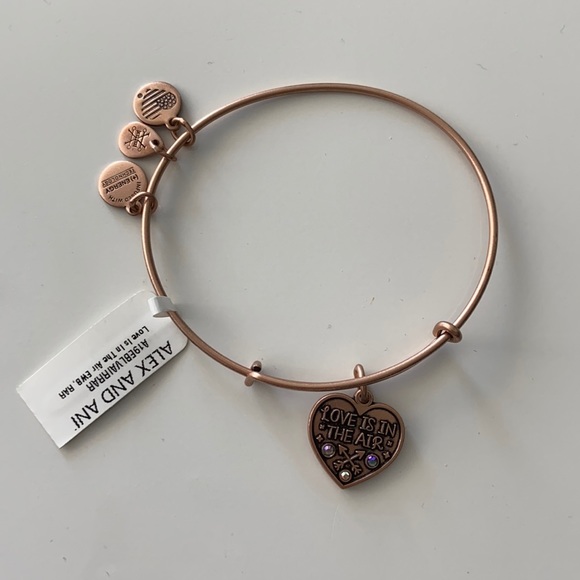 NWT Alex and Ani Love Is In The Air Charm Bracelet - Picture 2 of 3